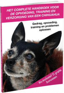 Chihuahua Handboek