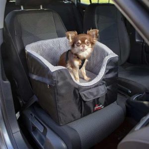 hond zit in autostoel voor honden