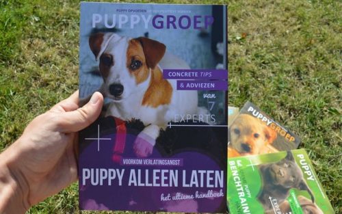 puppygroep boek over het alleen laten van je puppy vastgehouden in een grasveld