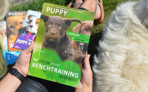puppygroep boek over de benchtraining vastgehouden in een grasveld