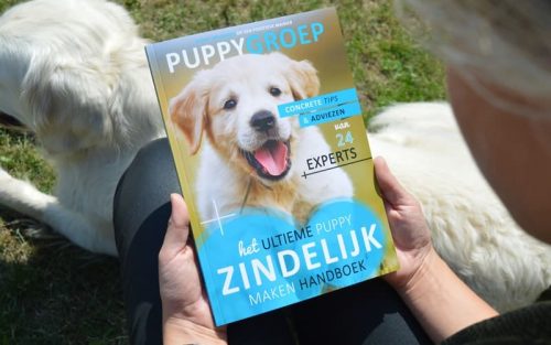 puppygroep boek over het zindelijk maken van je puppy vastgehouden in een grasveld