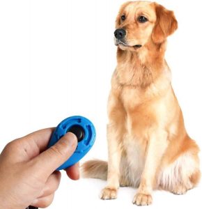 hond zit voor een hand die een clicker voor honden vasthoud