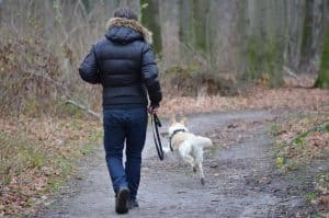 man loopt met een hond door een bos