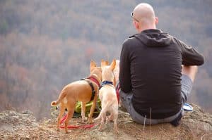 man zit op gesteende met twee aangelijnde honden naast zich