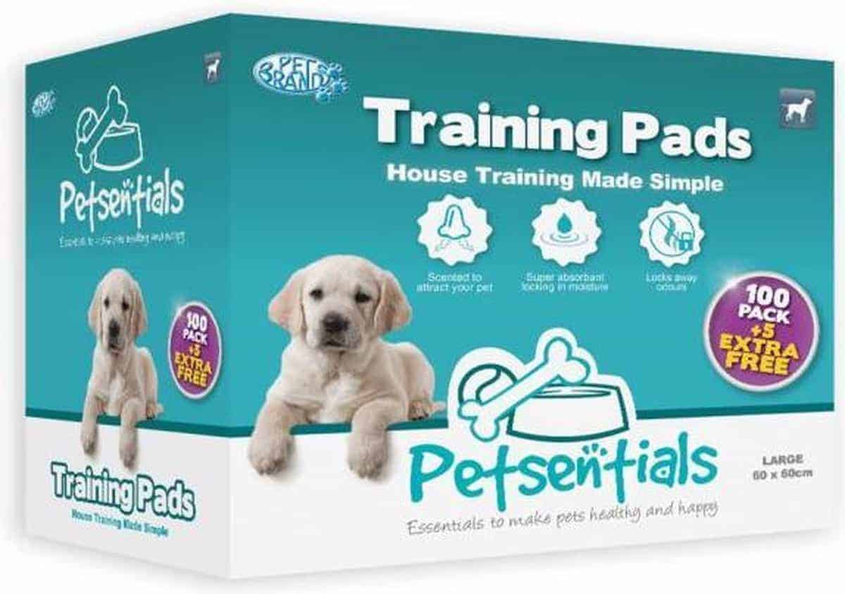 Beste puppy pad bestellen? Top 4 puppy pads vergelijken?
