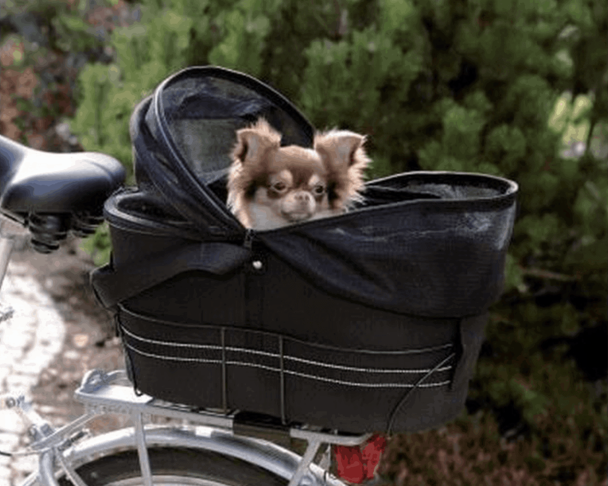 MaxxPet Fietsmand Voor Honden – Voor Op Het Stuur – 45x38x47 Cm – Tot 8 Kg – Stevig En Duurzaam – Veilig En Comfortabel