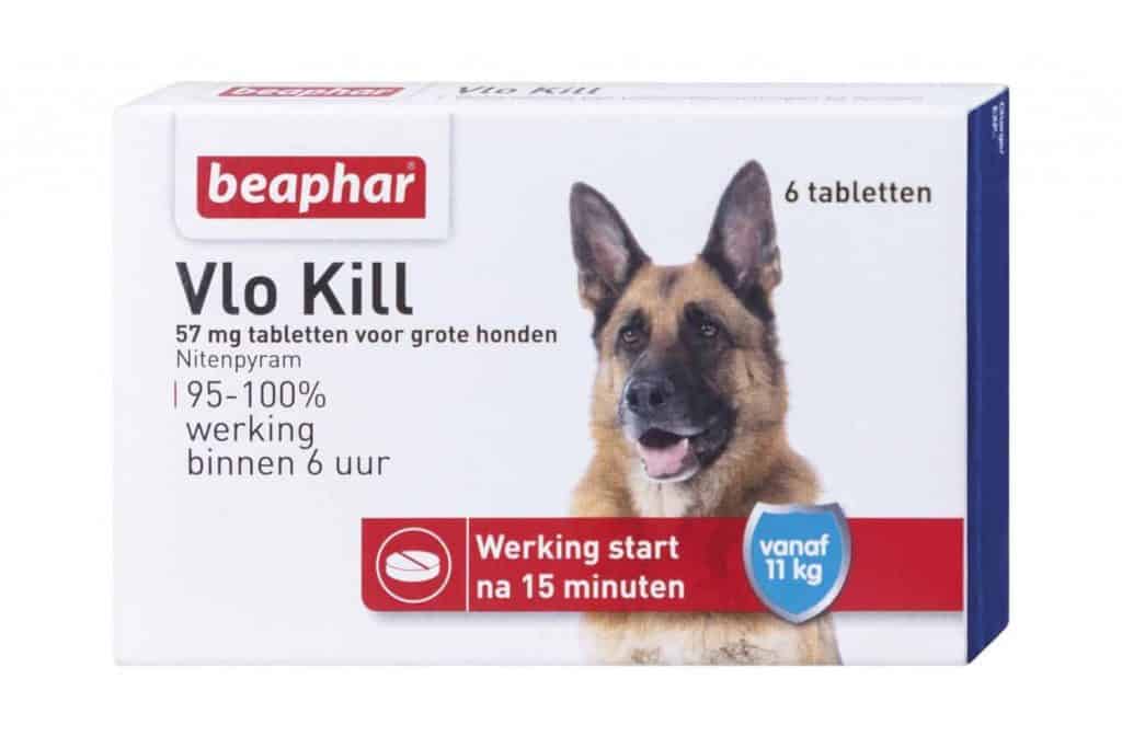 De 5 beste vlooienmiddelen voor honden in 2021