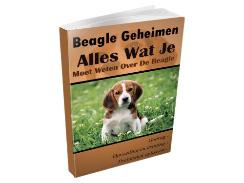 cover beagle geheimen