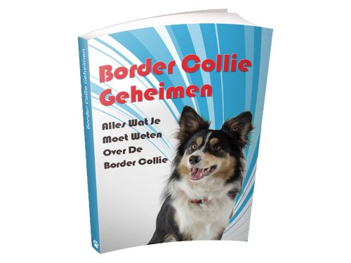 cover border collie geheimen