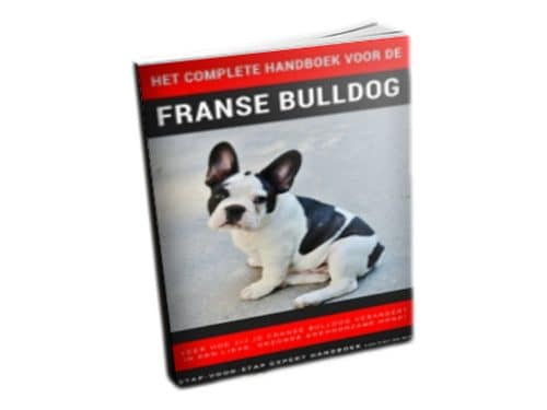 cover franse buldog handboek